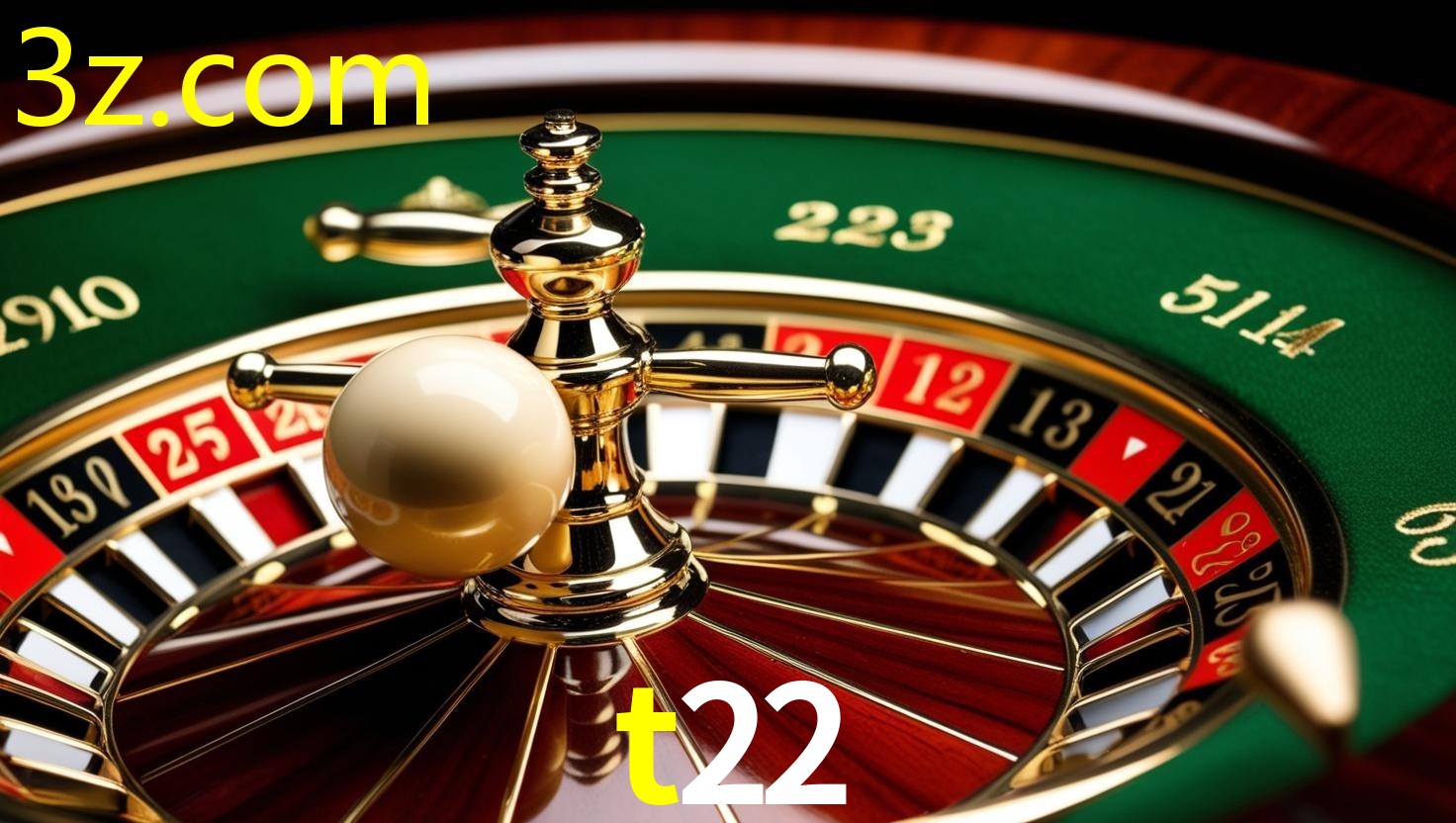 T22.COM